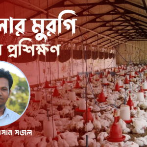 মুরগি পালন প্রশিক্ষণ বই (PDF Book)